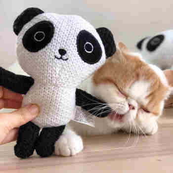 大脸猫猫咪玩具可爱毛线熊猫逗猫玩具diy磨爪针织宠物用品【图片 价格